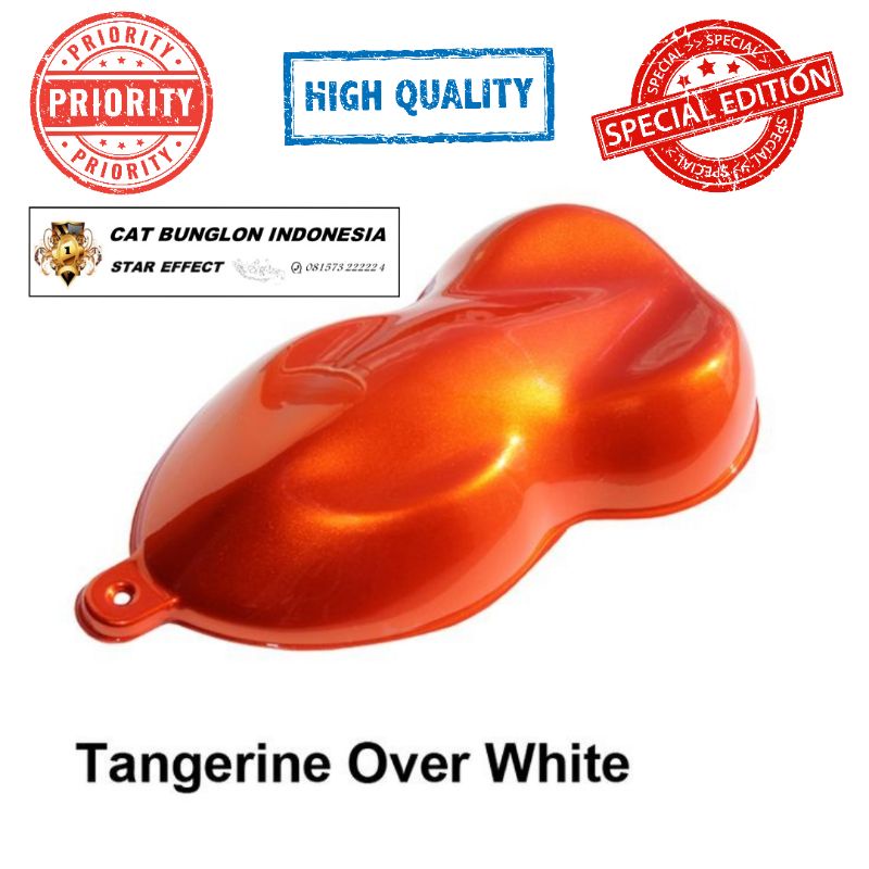 Cat Duco Tangerine Over White