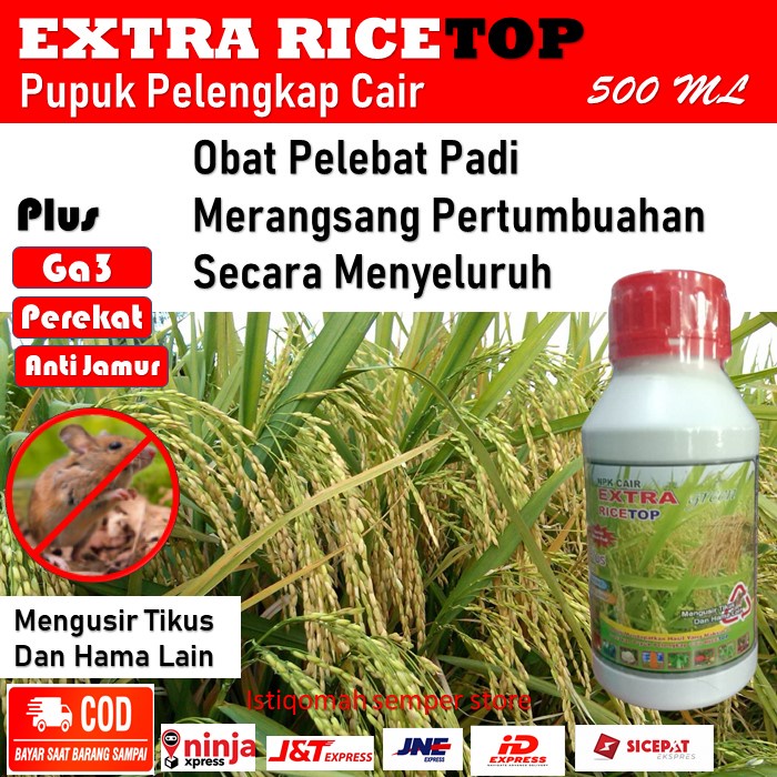 RICETOP 500 ML Pupuk Penambah Bobot Padi - RICETOP NPK Cair Extra Green Obat Pelebat Padi Paling AMP