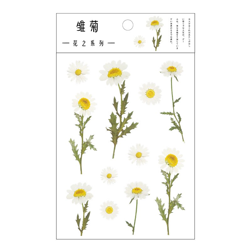 Sticker PET Transparan Bunga Daisy Clover | Vintage PET Sticker Gysophila Flowers Retro Plant