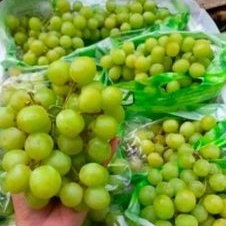 

ANGGUR HIJAU, ANGGUR SHINE MUSCAT, ANGGUR JUMBO AUSTRALIA, ANGGUR RED CHILI, ANGGUR BLACK ROYAL SEEDLESS, MIXED GRAPE