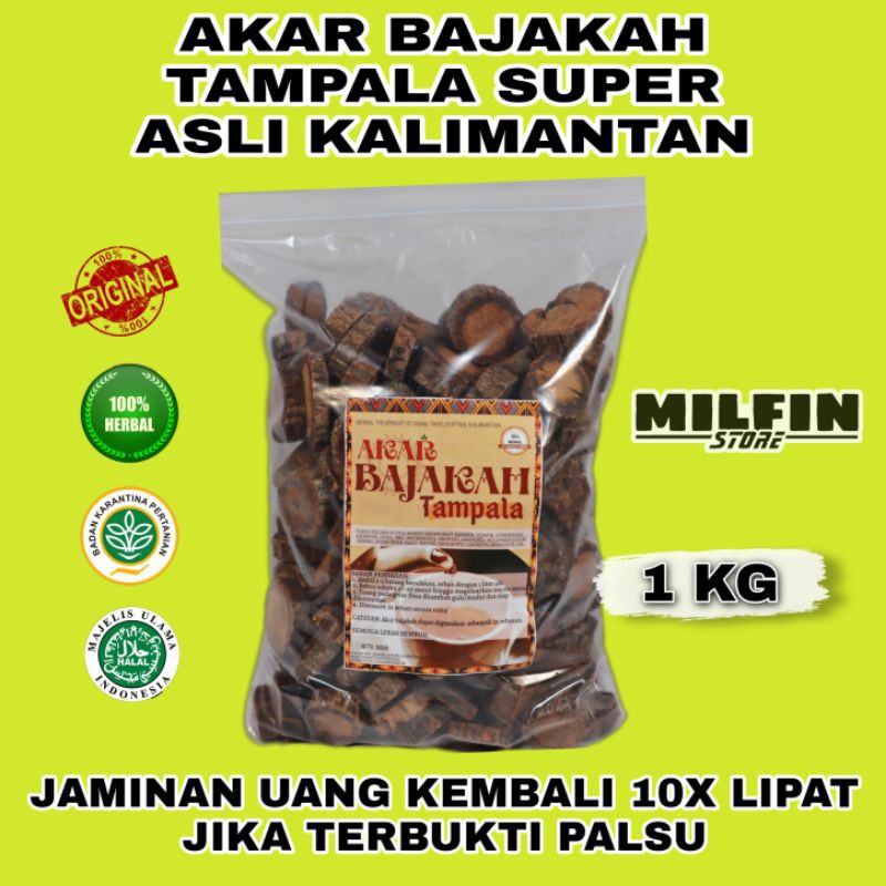 

AKAR BAJAKAH TAMPALA SUPER OBAT KANKER GRADE A TERBAIK ASLI 1 KG