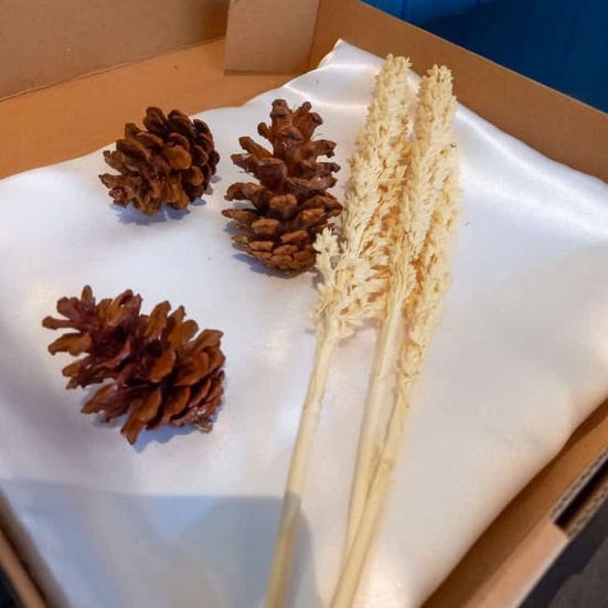 PROPERTI FOTO PRODUK AESTHETIc