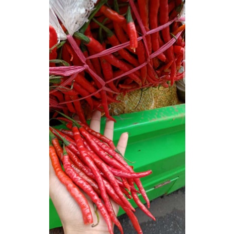 

Cabe keriting merah 1kg
