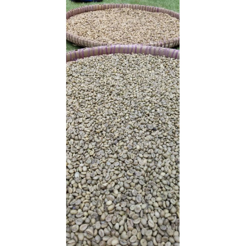 

Greenbeans kopi robusta wonosobo