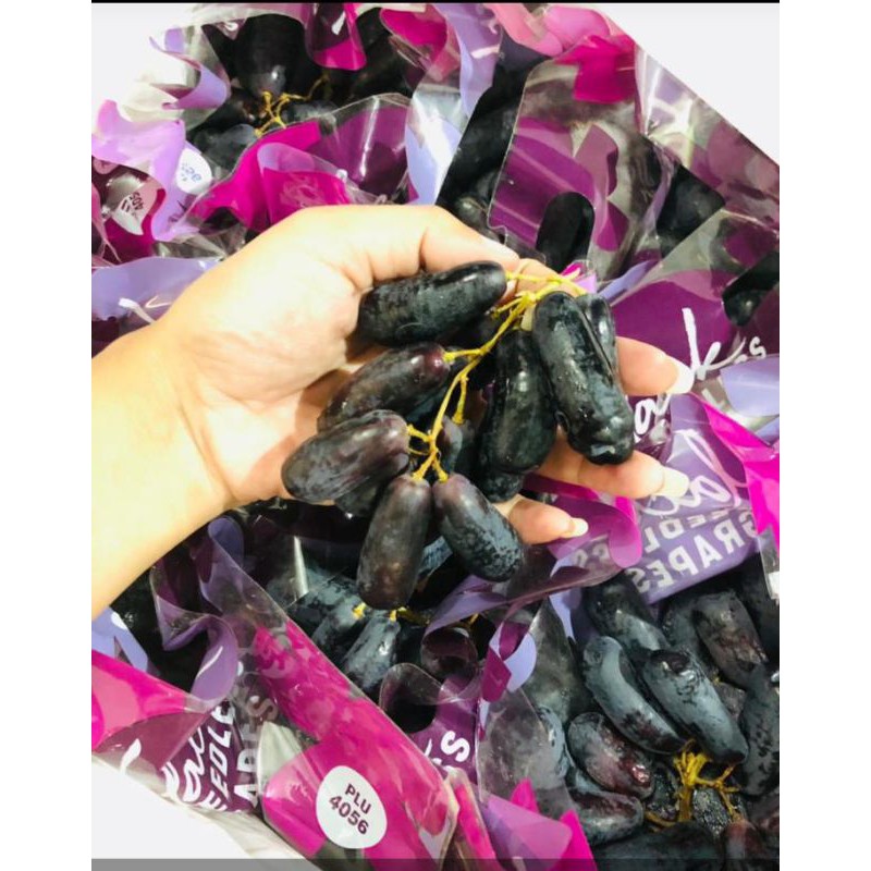 

anggur sweet shapire hitam anggur sultan