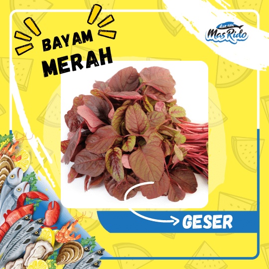 

Sayur Bayam Merah Segar Organik Berkwalitas Super Harga Murah Per Ikat