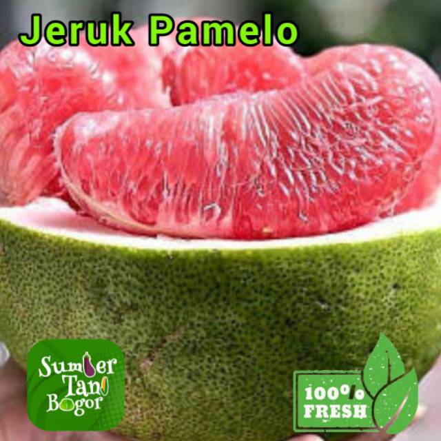 

PAMELO PER BUAH