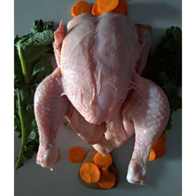 

Ayam Broiler Segar - Fresh Broiler Chicken