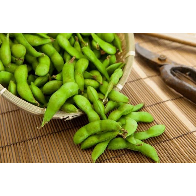 Benih Kacang Edamame Bibit Edamame