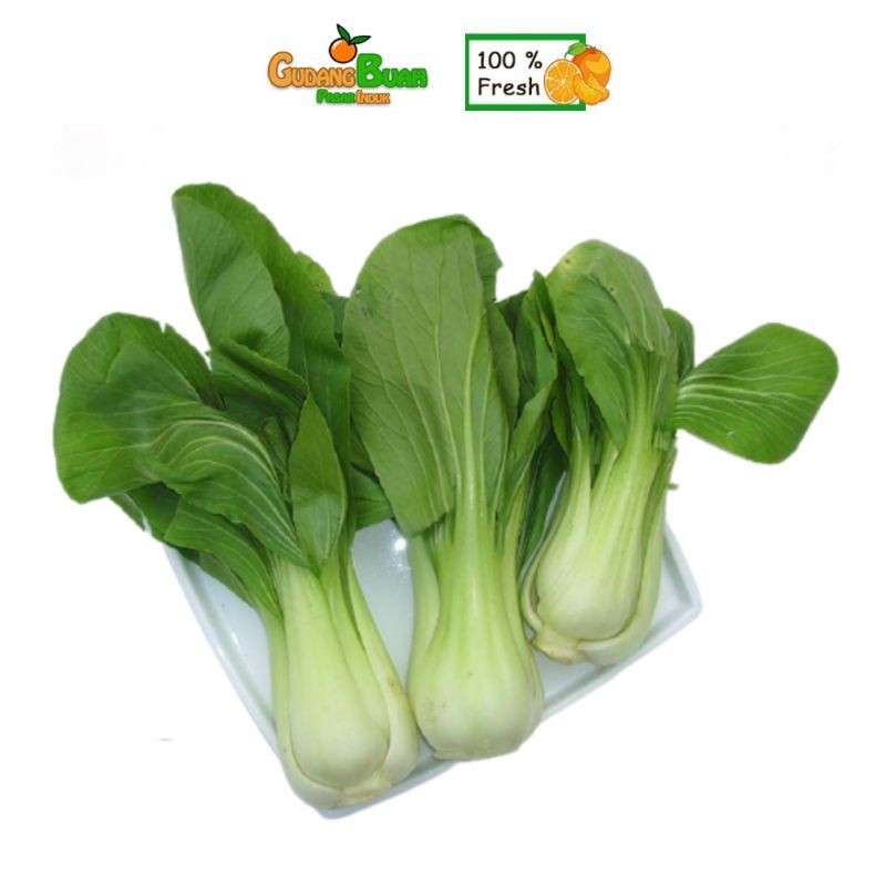 

Pakcoy Sayur Segar | Pokcoy | Pak Choi 1kg