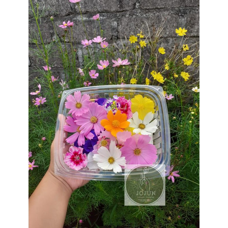 

MURMERRRRRR EDIBLE FLOWERS FRESH !!!!!