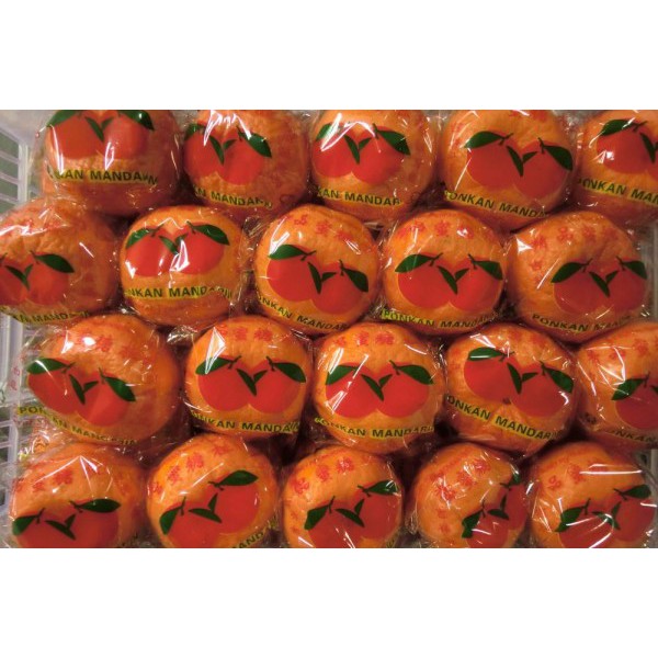

JERUK MANDARIN MURCOT 1 KG