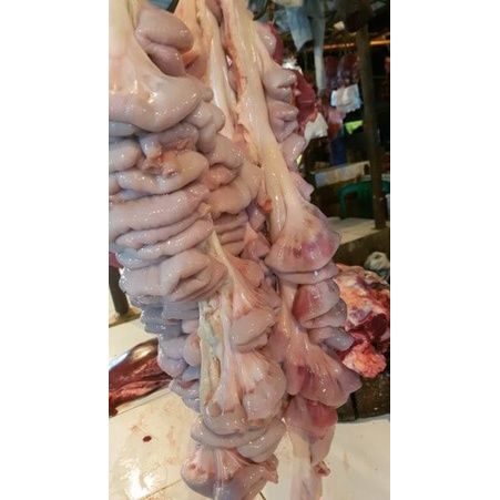 

Usus Iso Daging Sapi lokal Segar 500gr Instan/SameDay