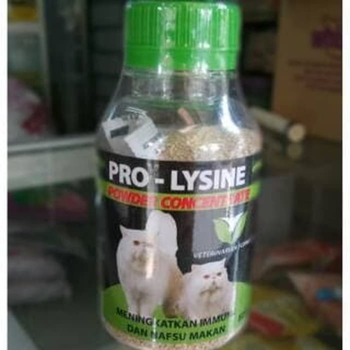 Pro lysine cat vitamin kucing - prolysine  Kucing