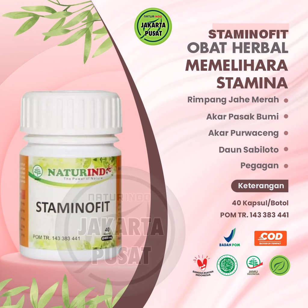 Jual Staminofit Naturindo Suplemen Obat Herbal Memelihara Menjaga