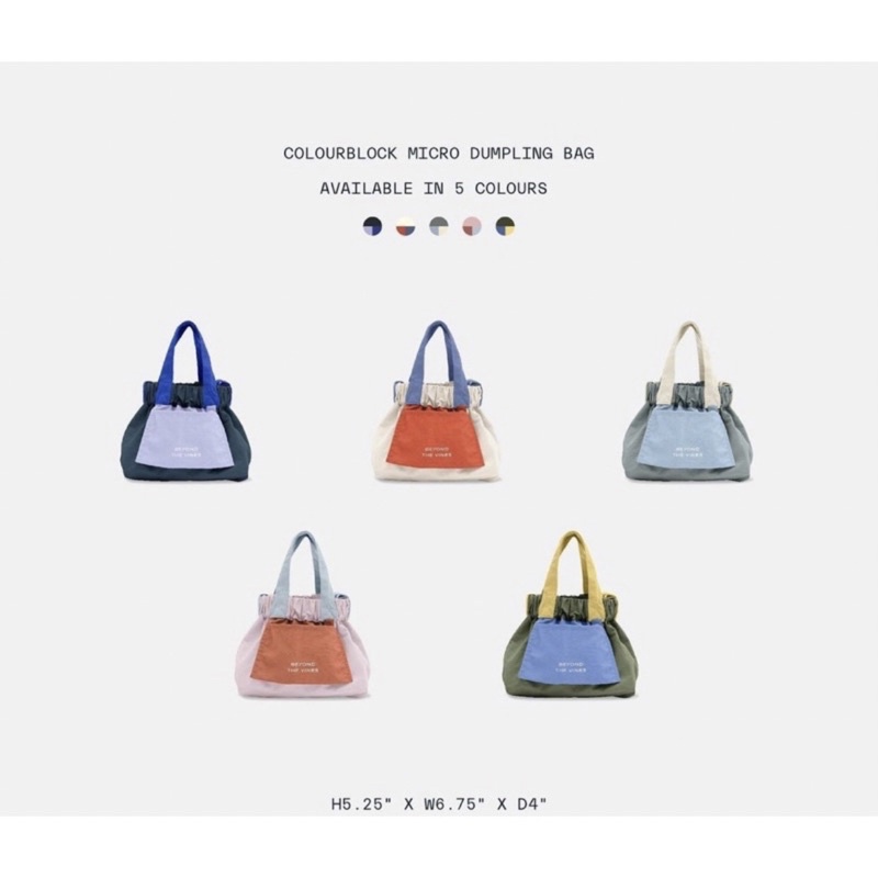 BTV MICRO DUMPLING BAG COLORBLOCK