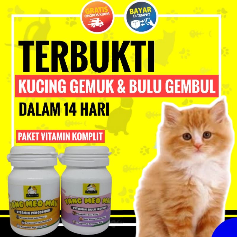 Paket Vitamin Kucing BULU GEMBUL - vitamin kucing