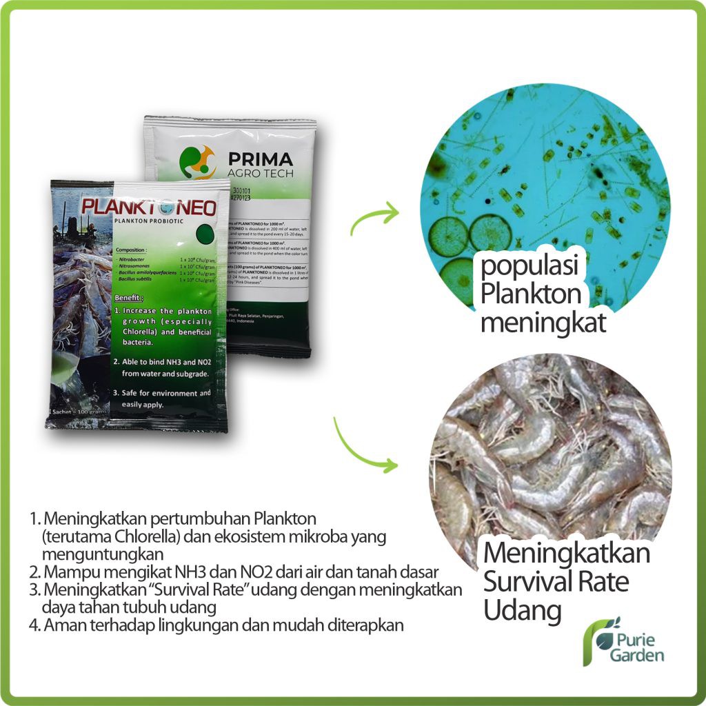 CUCI GUDANG Pupuk Organik Hayati Udang Meningkatkan Kehidupan Udang Planktoneo 100 Gram