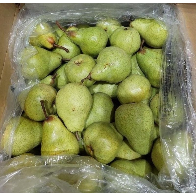 

PEAR PACKHAM 1KG/BUAH PEAR HIJAU PACKHAM FRESH