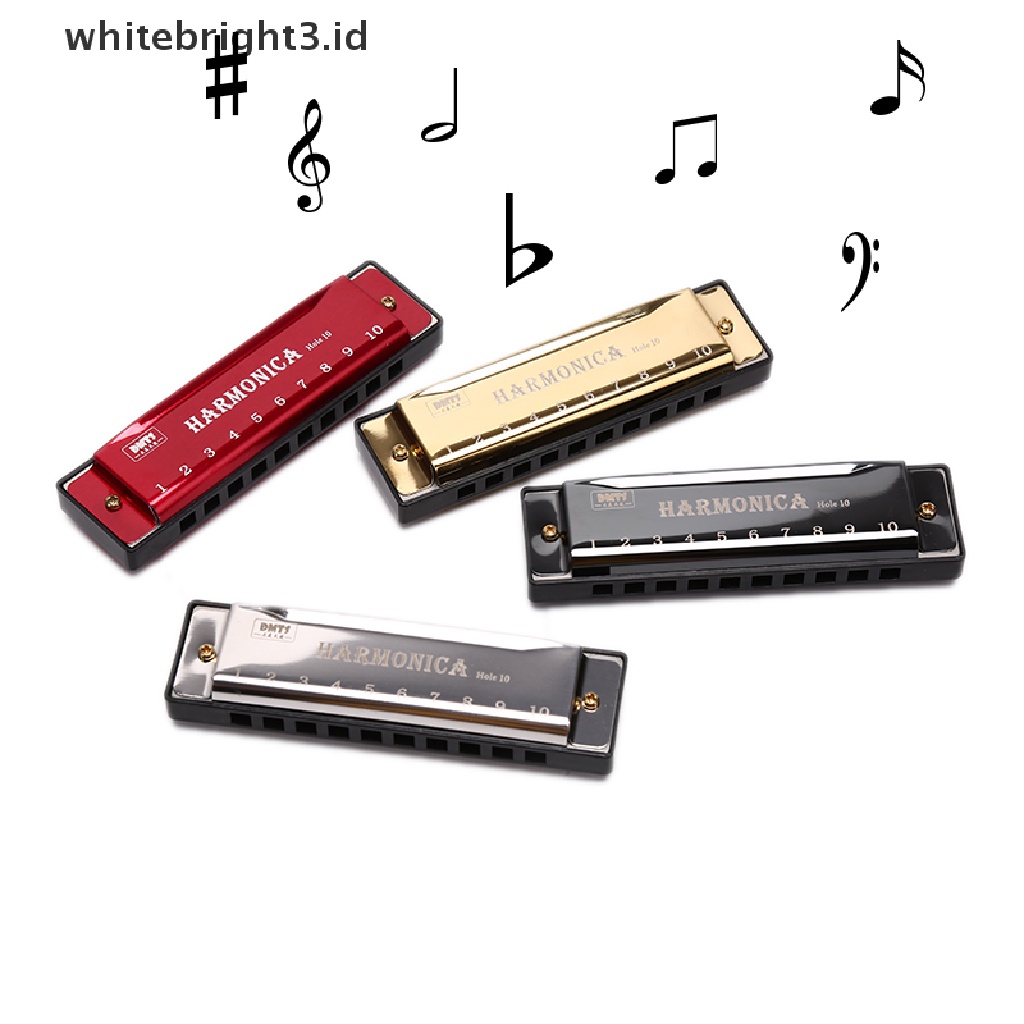 {whitebright3.id} 10 Hole Harmonica Mouth Organ Puzzle Musical Instrument Beginner Teaching  ,