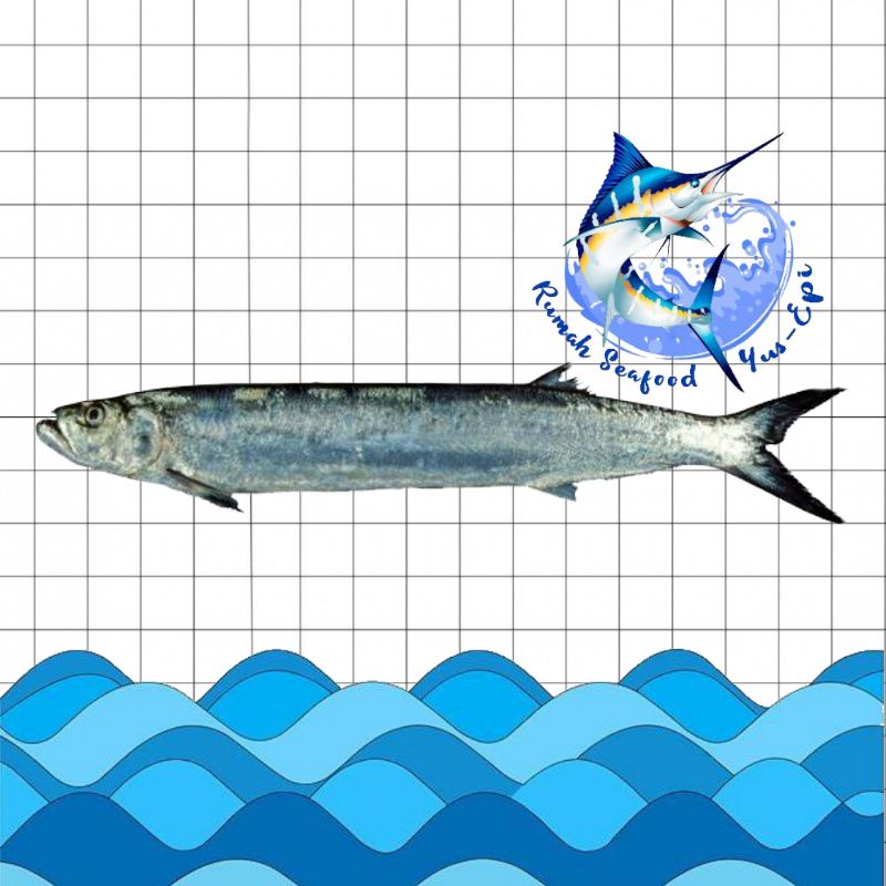 

Ikan Parang - rumahseafoodyusepi