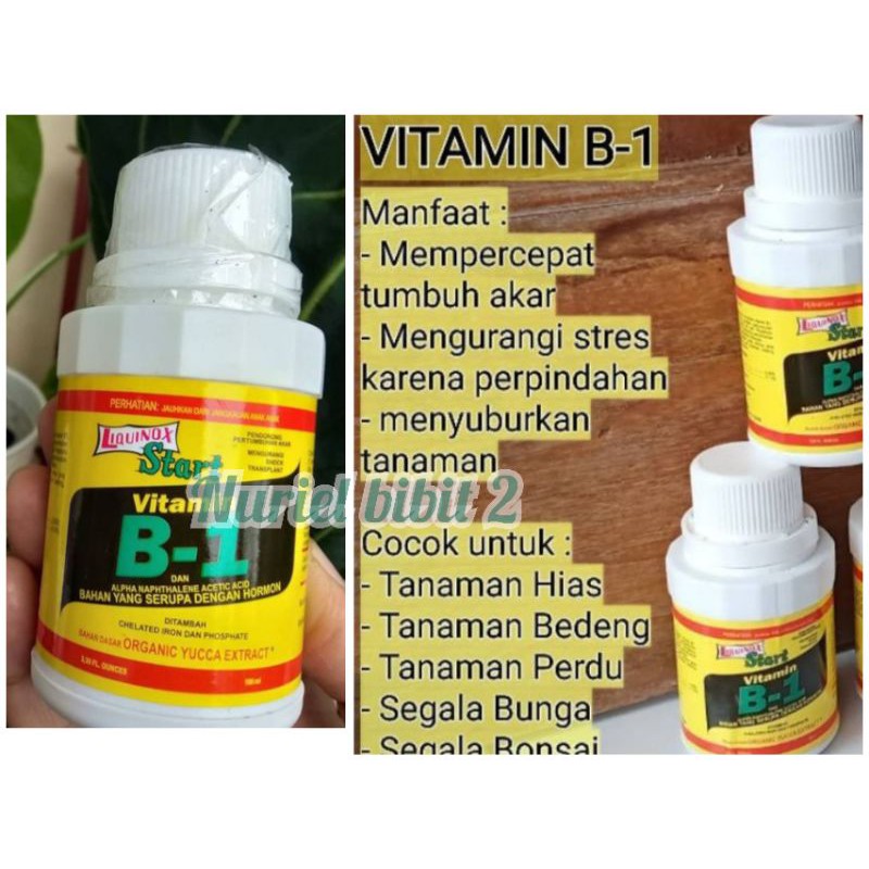 Vitamin B1 tanaman