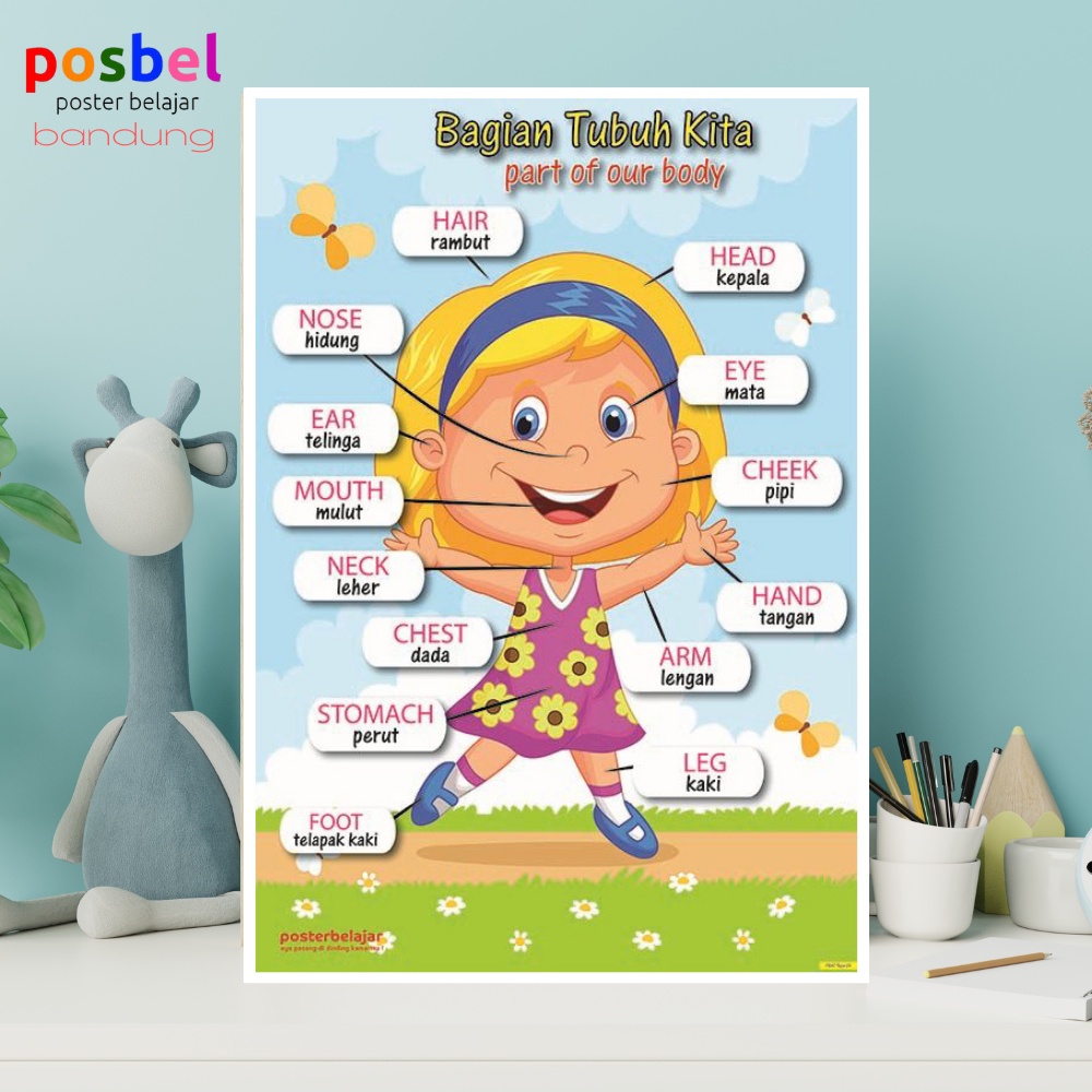  Gambar Edukasi Anak mengenal Anggota Tubuh Bilingual Poster seri Anak 