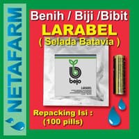 Benih / Biji / Bibit BEJO LARABEL Selada Batavia 100pills