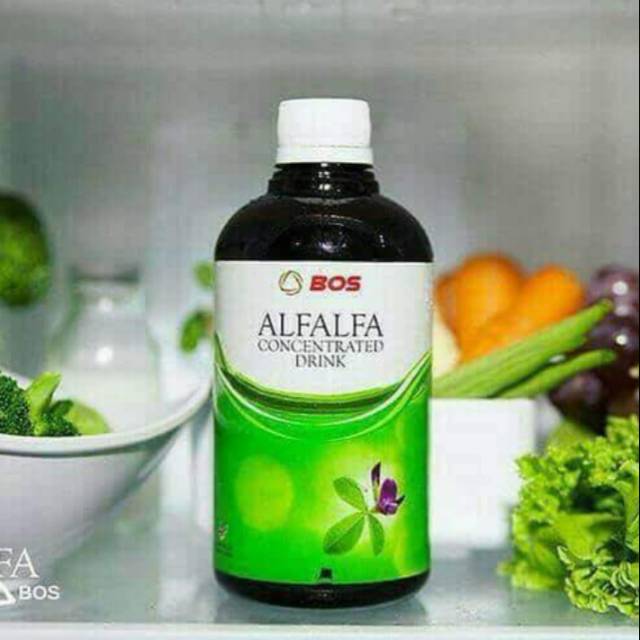 Alfalfa concentrated drink