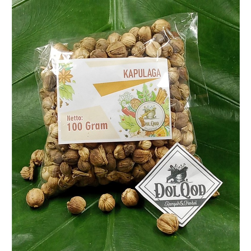 

kapulaga Kapolaga Kapol jawa 100 gram termurah