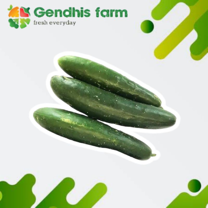 

Timun jepang / Kyuri [250 gr]