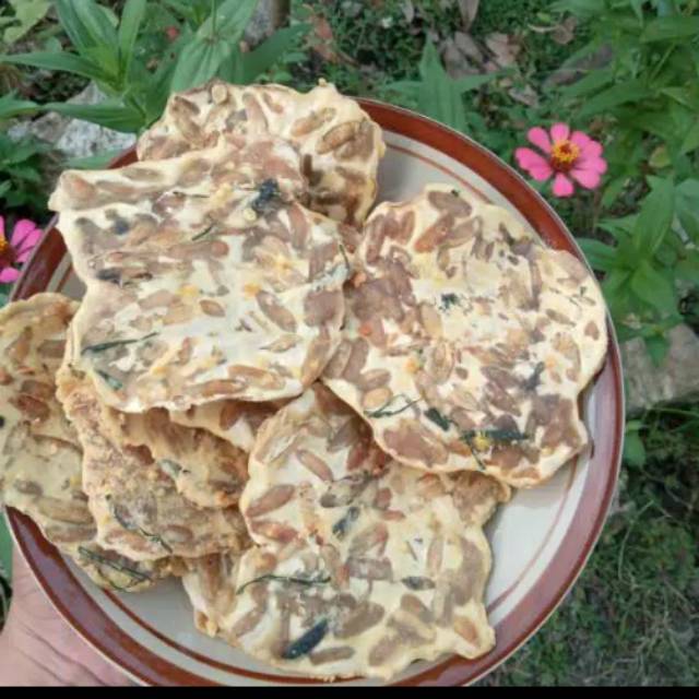 

Kripik benguk