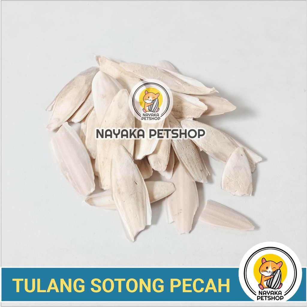 Tulang Sotong Pecah Kalsium Mineral Burung Gigitan Hamster Alami Gnawing Stone Natural Asah Gigi Dental Care