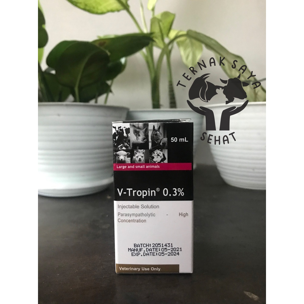 V-TROPIN 0.3% (Atropin injeksi untuk hewan) 50 ml - Atropin Hewan Sapi Anjing Kucing Kambing