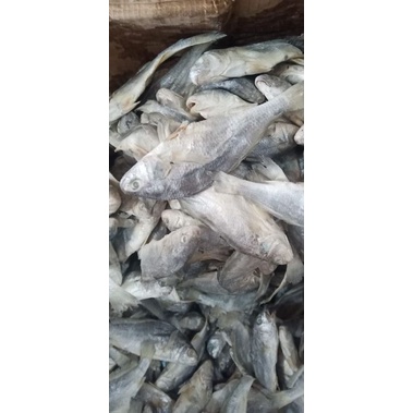 

ikan asin kepala batu