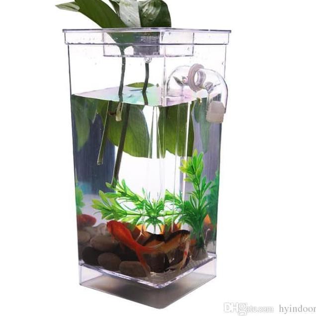 Zxy 63 Mini Aquarium My Fun Fish Self Cleaning Tank Betta Cupang