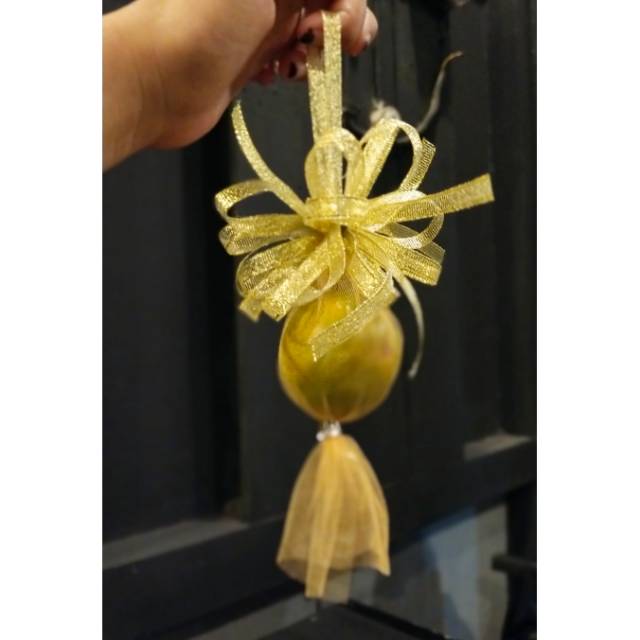 Pokok telur gantung / pokok telok / bunga pahar /  bunga telur