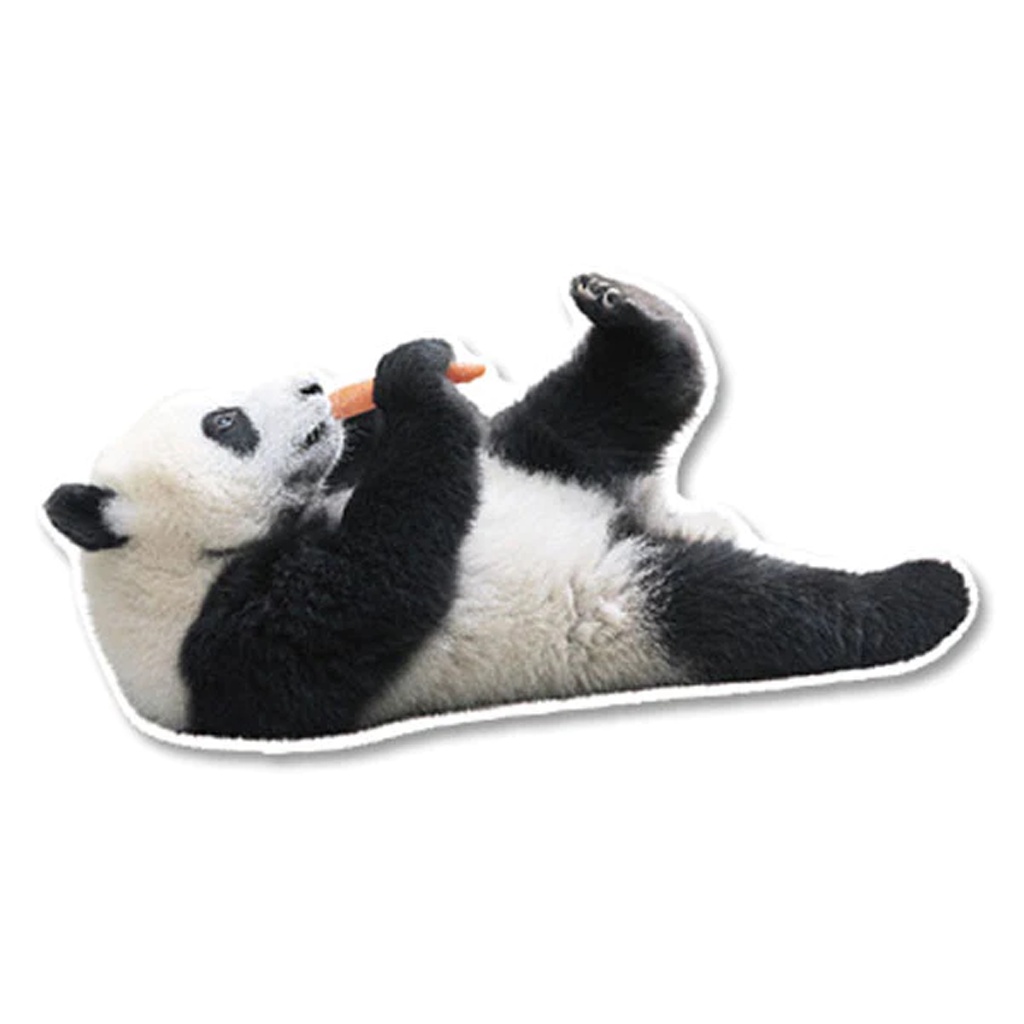 

Greeting Life Panda Postcard