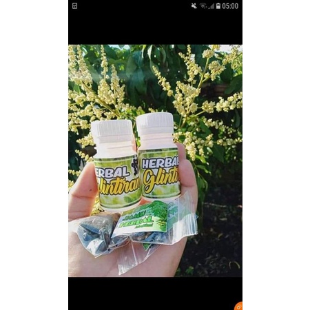 glintiran,jamu herbal,mengatasi keputihan,menyuburkankandungan,missvmenjadi keset,staminapria menjad