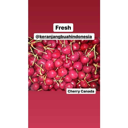 

Buah Segar Cherry Canada, Fresh Fruit Cherries Canada