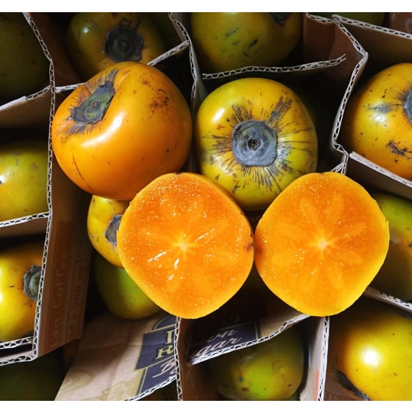 Buah Persimmon Kesemek Lokal