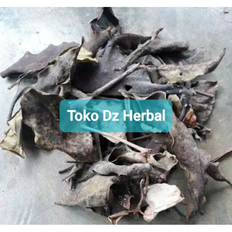 

Benalu jeruk bali kering alami 500 gram-az