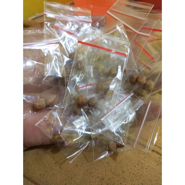 

jamu pil rapat malam ( kembali gadis ) sample pack
