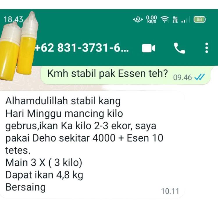 Terbaik.. Essen Paling Bagus Untuk Lomba Mancing Ikan Mas, Umpan Paling Bagus Untuk Lomba Mancing Ikan Mas, Essen dan Umpan Ikan Mas terbaik, paket umpan dan essen gacor terbaik, Essen juara dan umpan juara untuk lomba mancing ikan mas harian dan Galatama