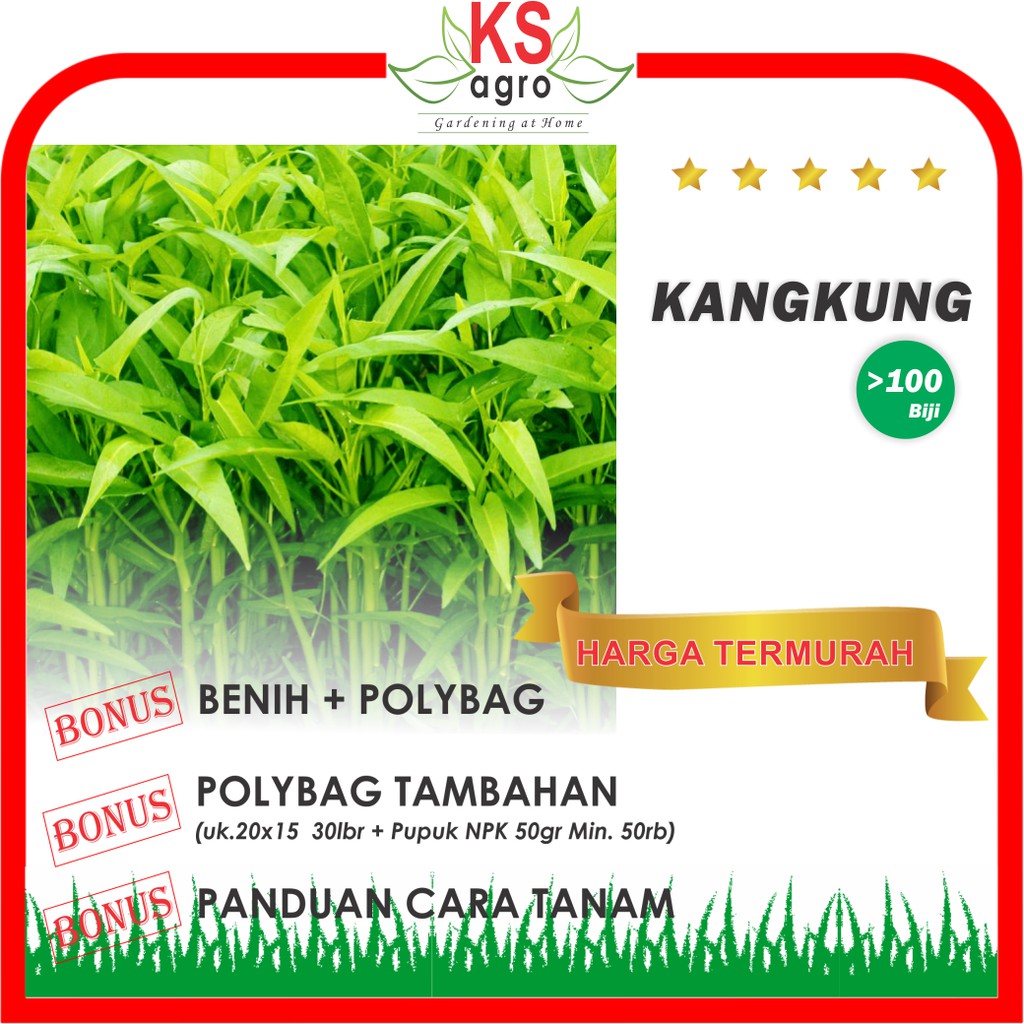 Benih Kangkung Bibit Sayuran Unggul