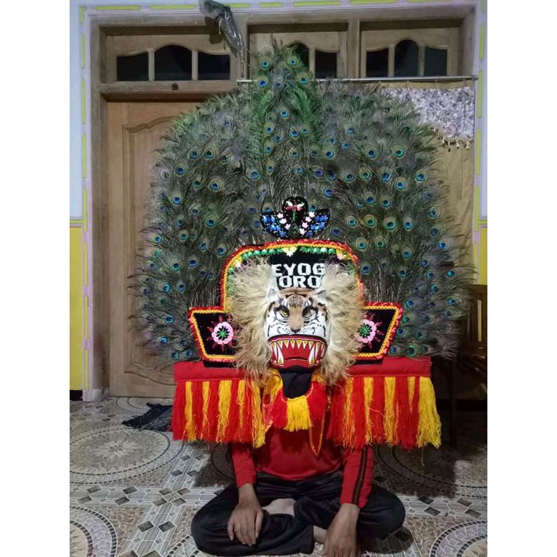 dadak merak mini 1,5 meter