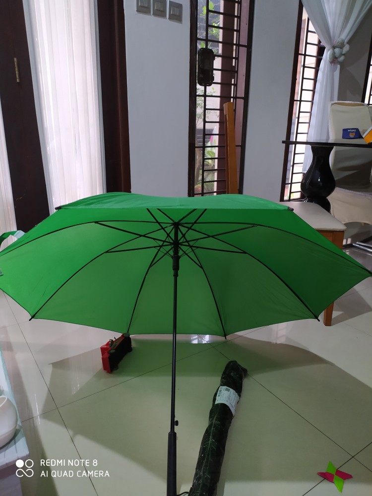 Jktumbrella / Payung Tongkat Standard Polos Warna / 23 / Grc - P22
