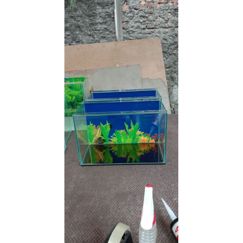 Aquarium 30x15x15 background