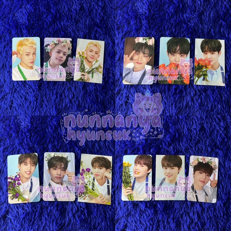 READY PC OFFICIAL TINCASE TREASURE BLOOMING