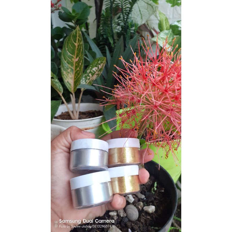 

Lustre dust gold